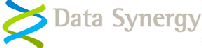 Data Synergy Worldwide